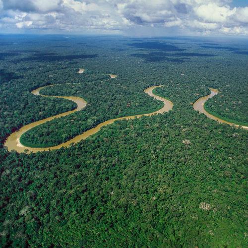 Andes-Amazon Initiative