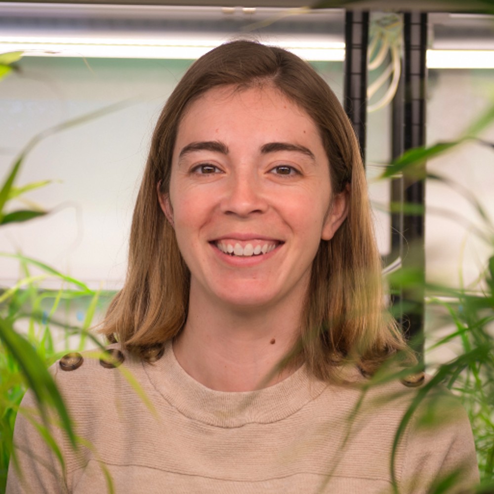 Alexandra Jazz Dickinson, Ph.D.