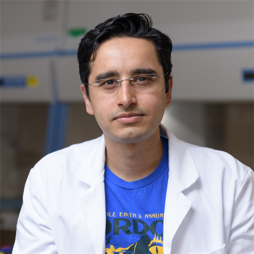 Saad Bhamla, Ph.D.